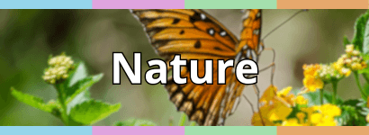 NATURE: ANIMALS AND PLANTS